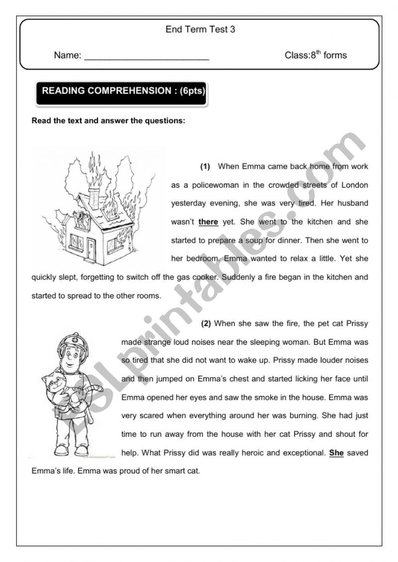 end term test 3 8th form worksheet