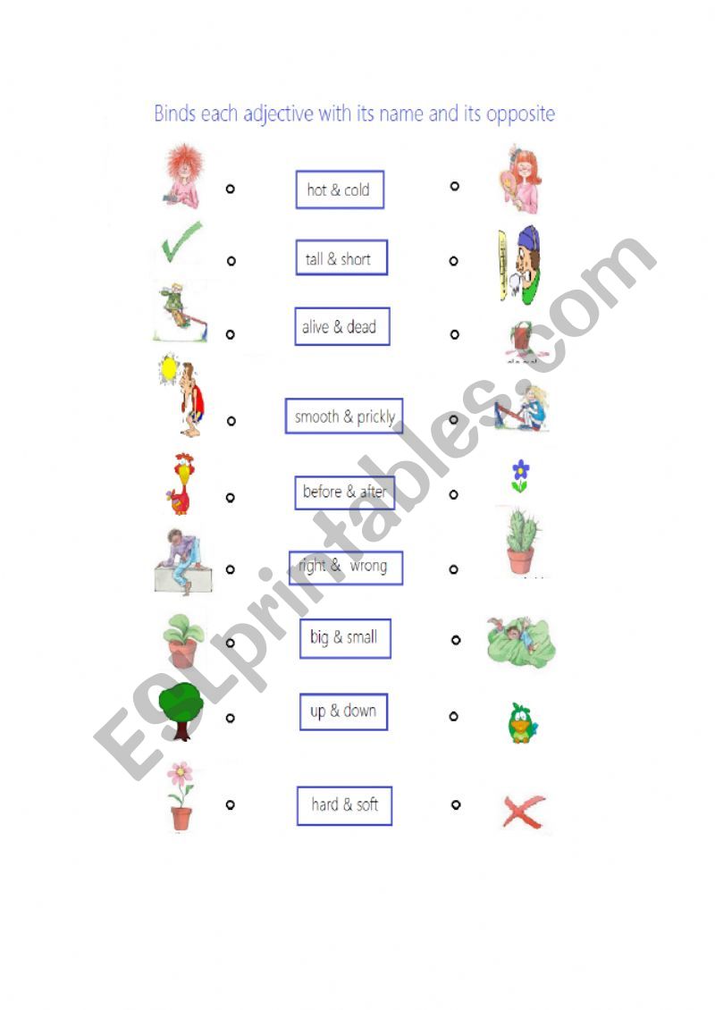 adjectives & opposites worksheet