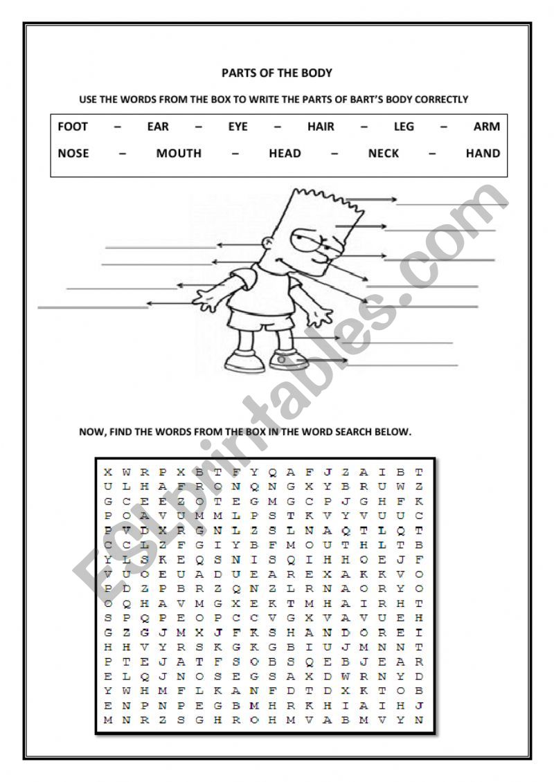 Parts of the body worksheet