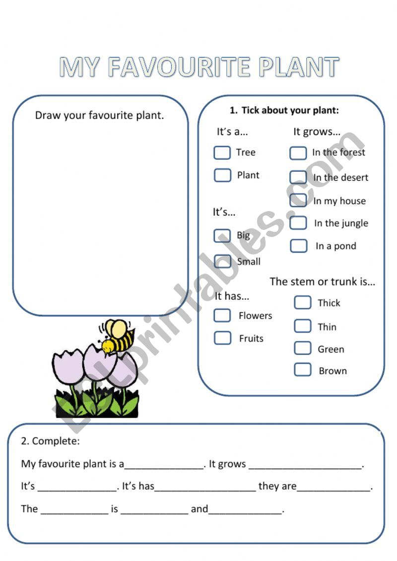 My favourite plant worksheet