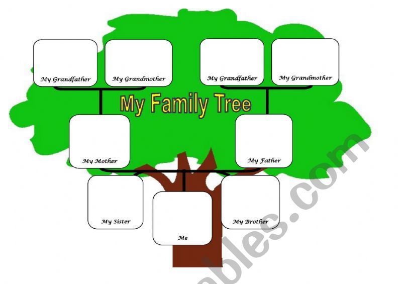 family tree worksheet