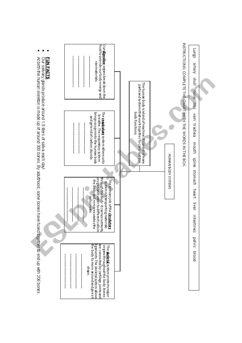 Body systems chart worksheet