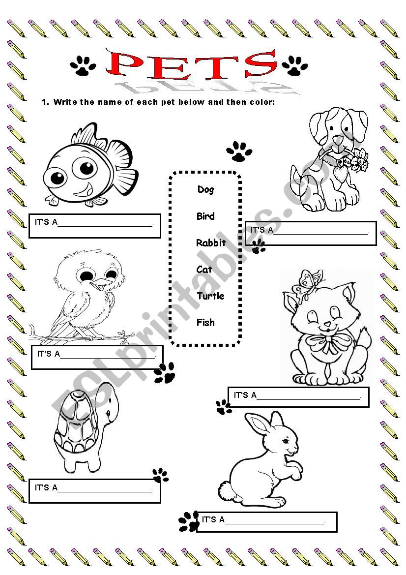 PETS worksheet