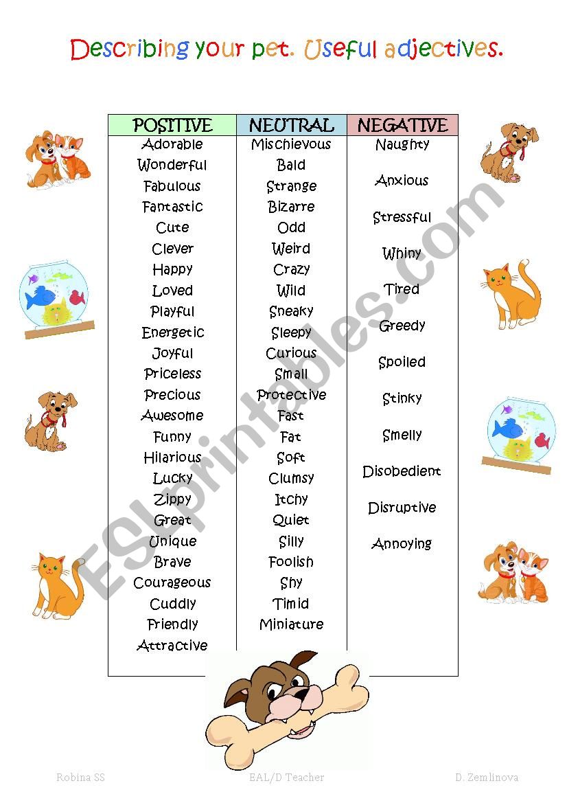 Adjectives describing pets worksheet