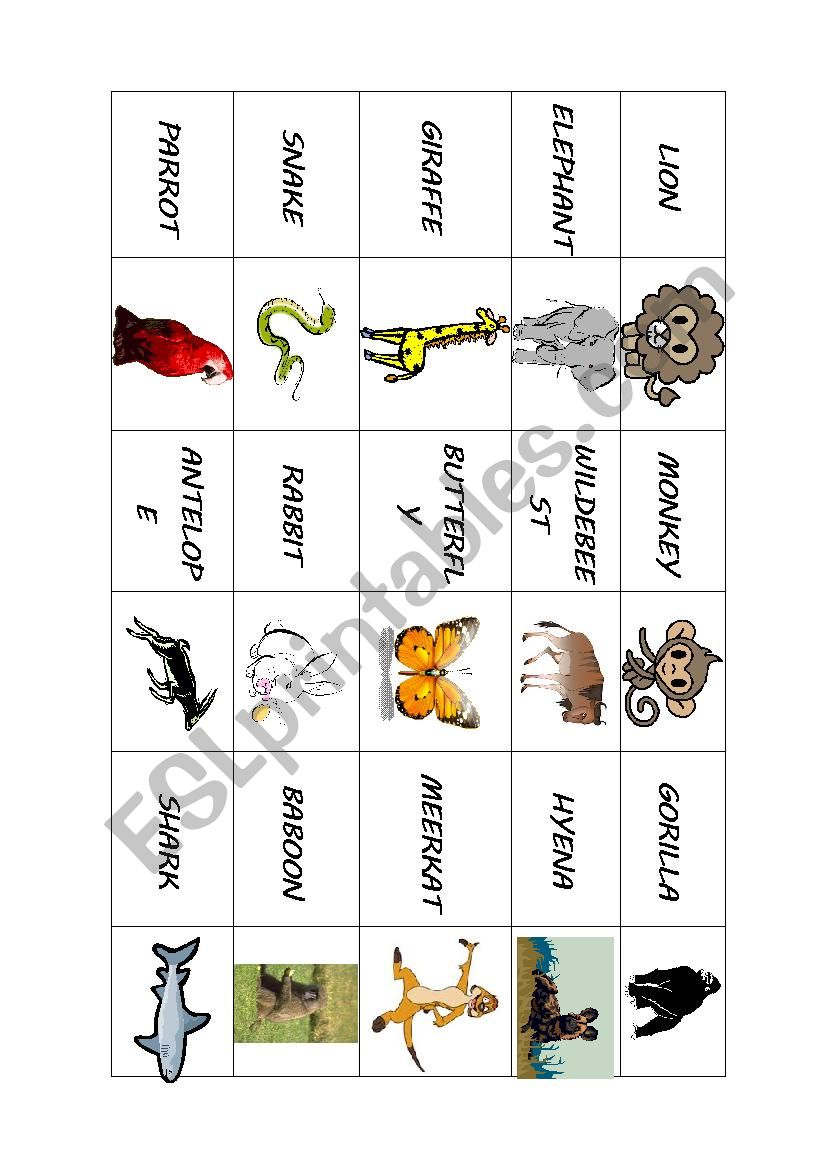 Animals Flash cards worksheet