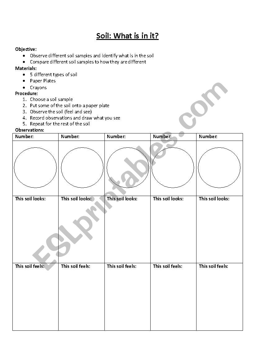 Soil - What is in it? worksheet