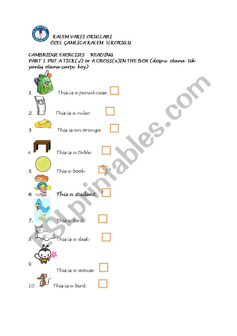 cambridge starters worksheet