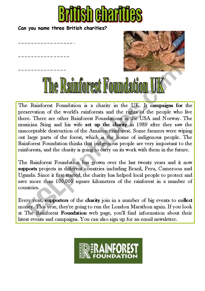 the rainforest foundation worksheet