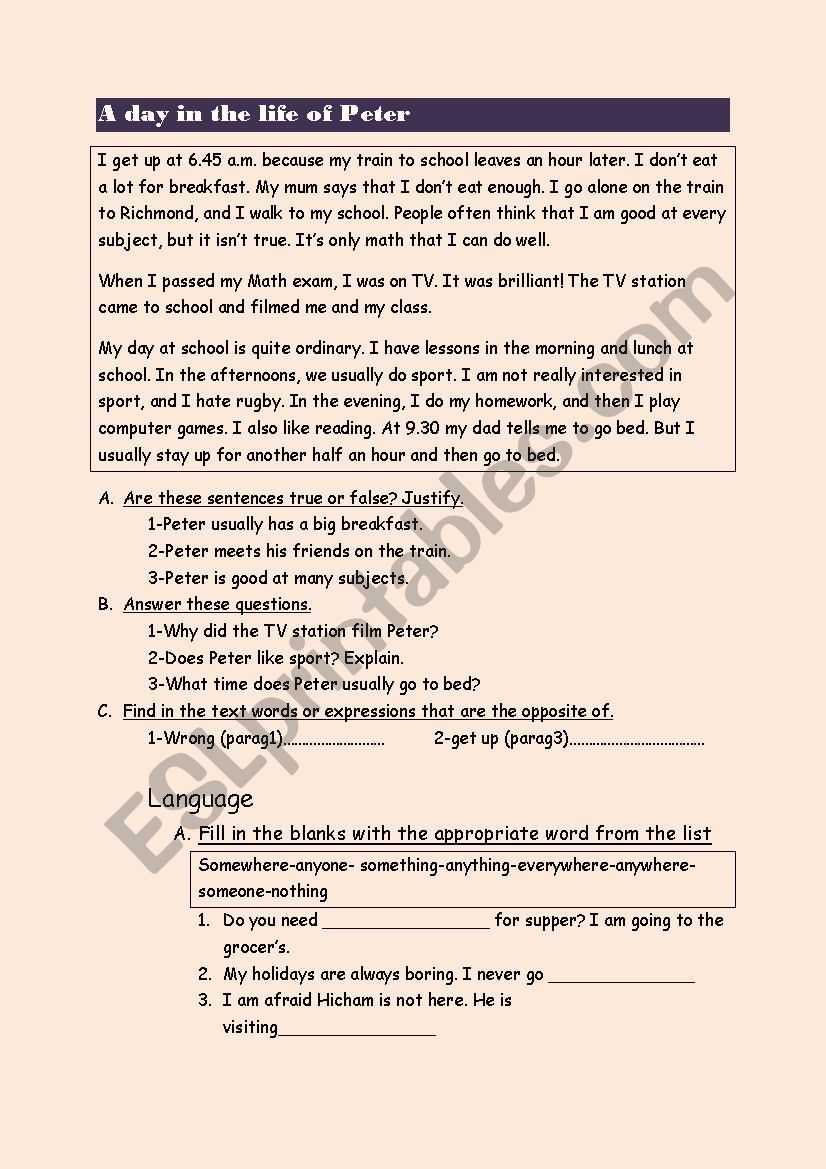 end of term test worksheet