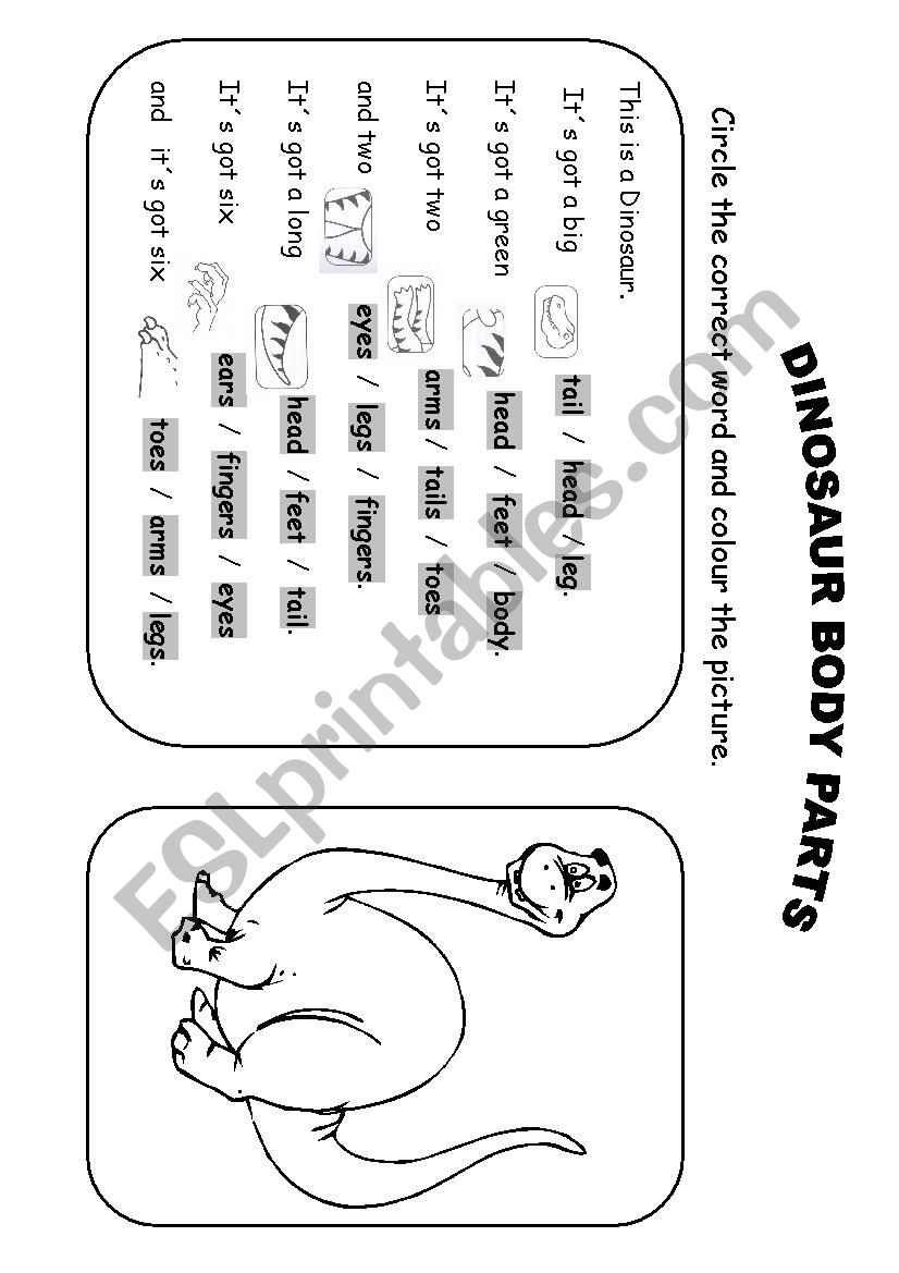 DINOSAUR BODY PARTS worksheet