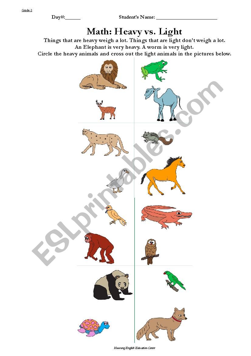 heavy vs light animals worksheet