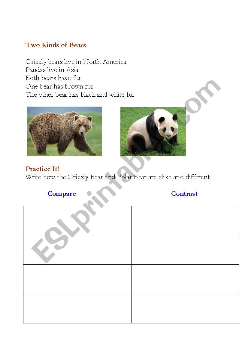 Compare and Contrast bear worksheet