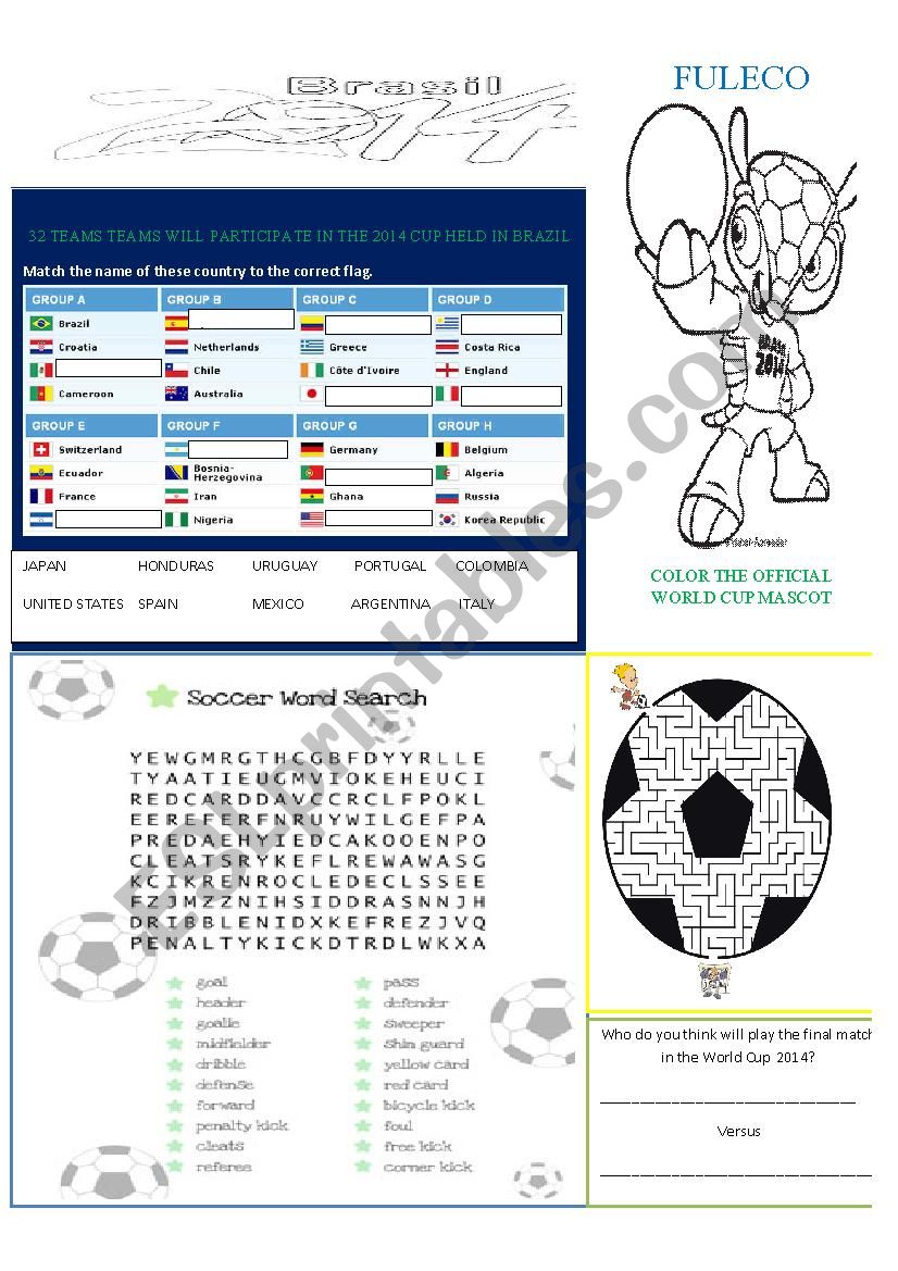 WORLD CUP 2014 BRAZIL worksheet