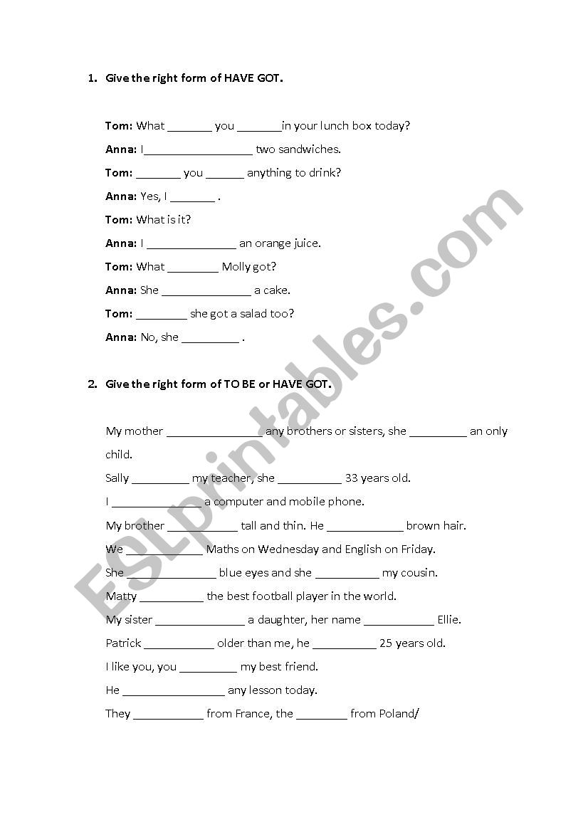 To Be or HAVE GOT worksheet