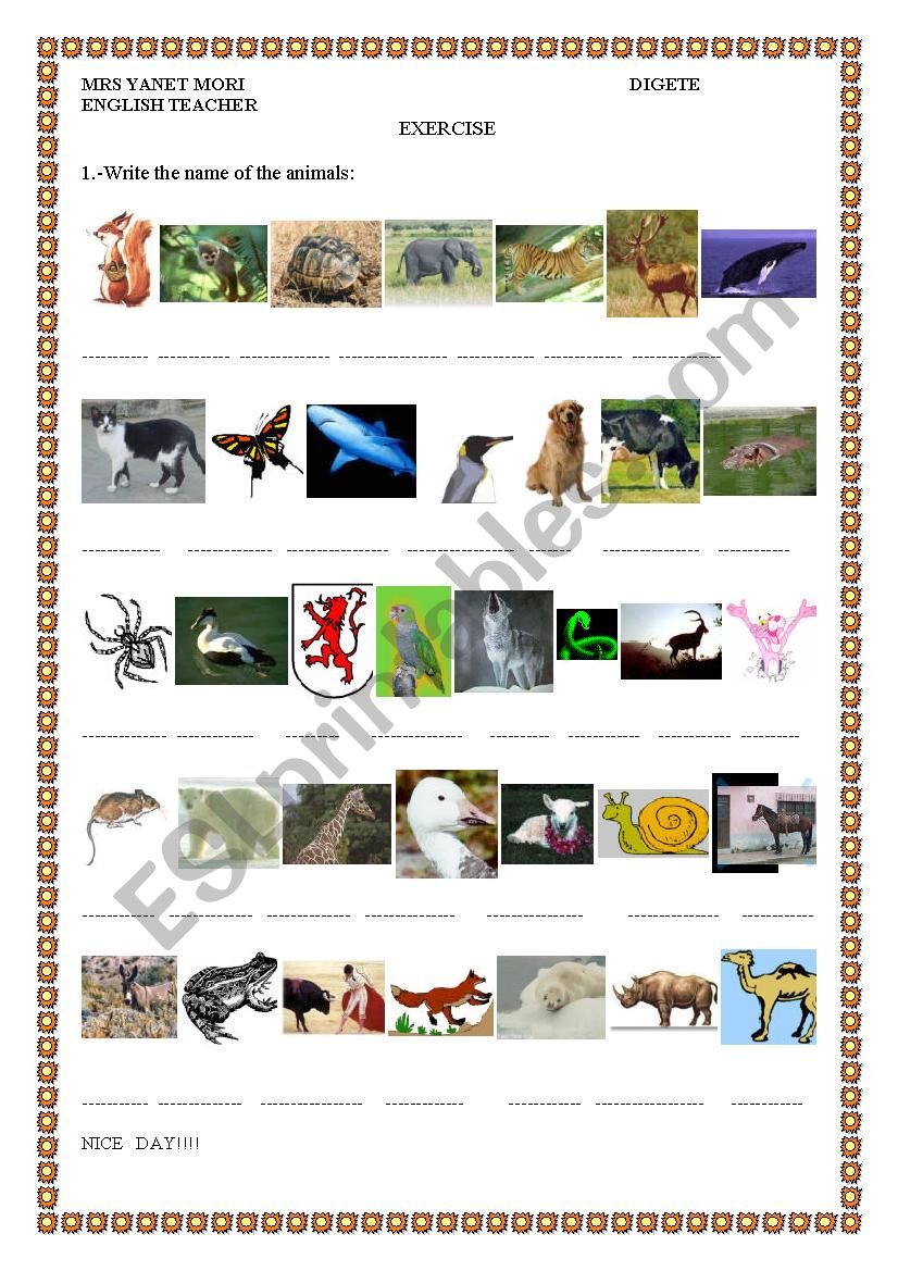 animals... worksheet