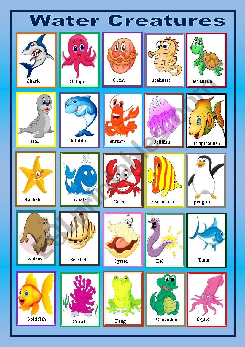 water creatures pictionary worksheet