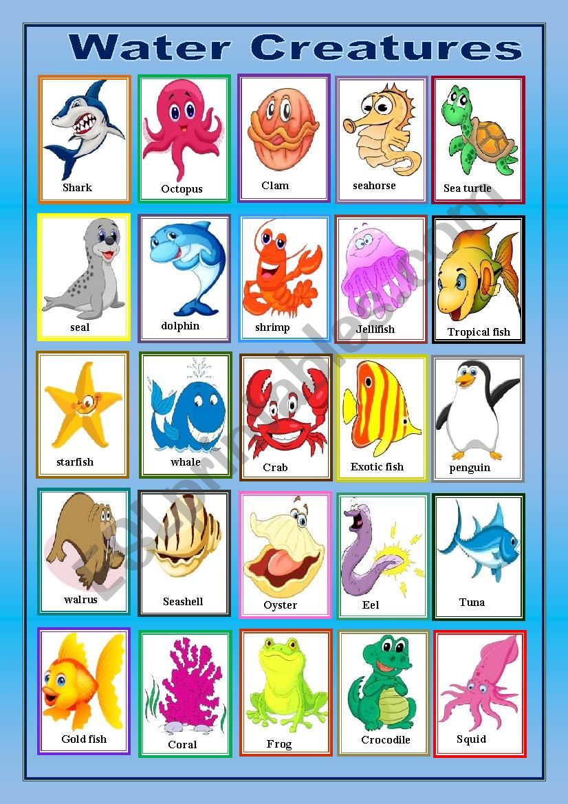 water creatures pictionary worksheet