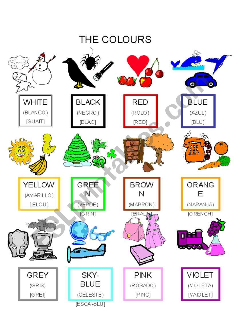 the colours worksheet