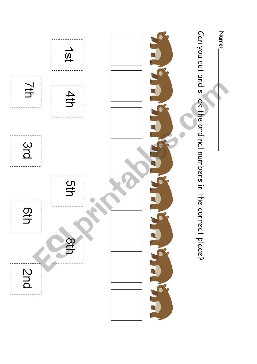 Ordinal bears worksheet