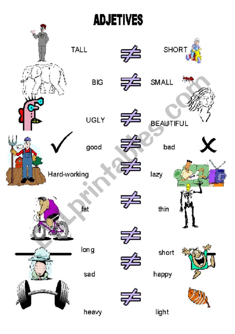 adjectives worksheet