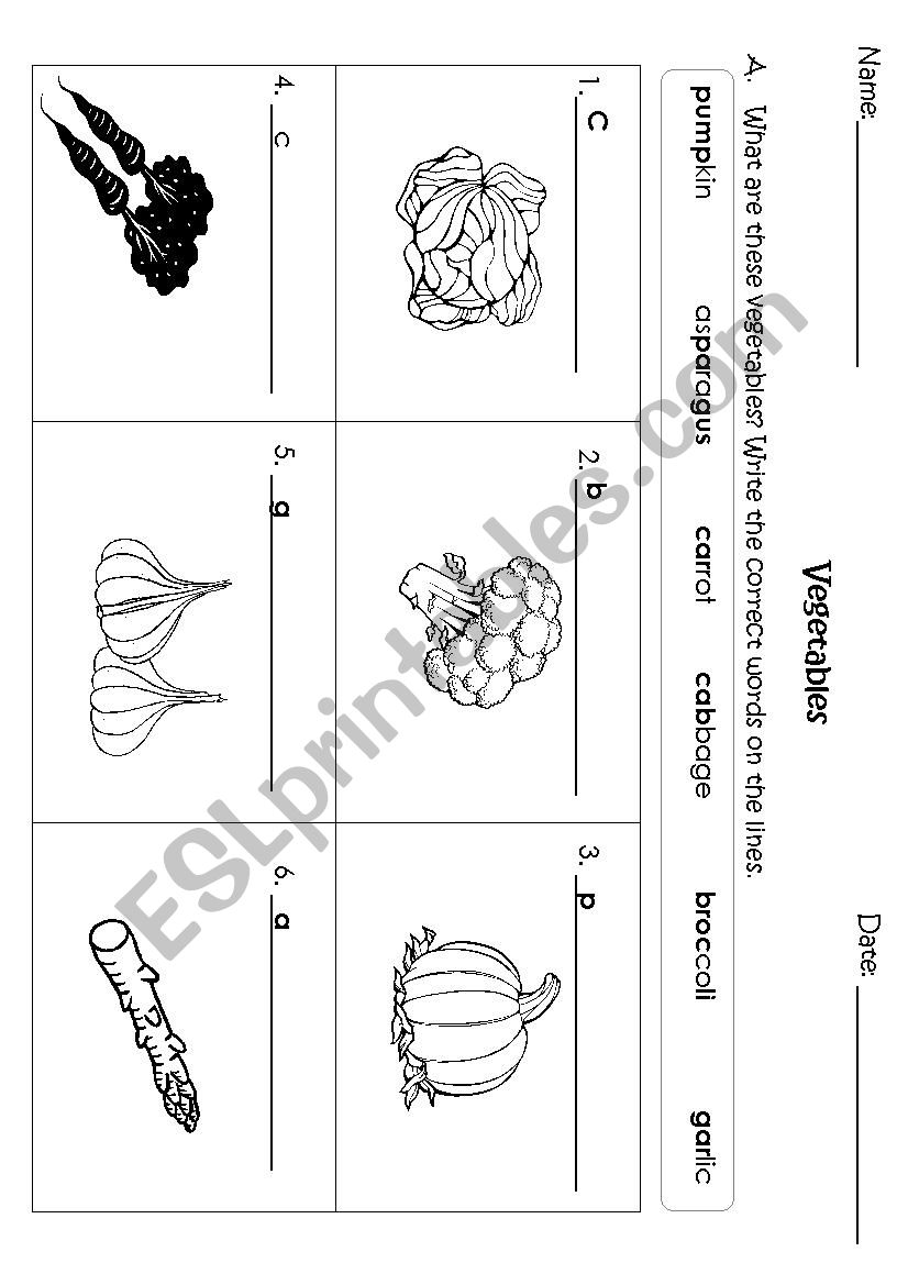 Vegetables worksheet