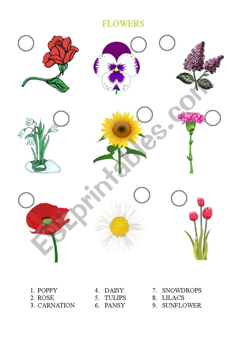 Number the flowers worksheet