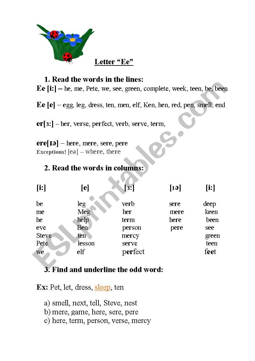 Reading Card,letter Ee worksheet