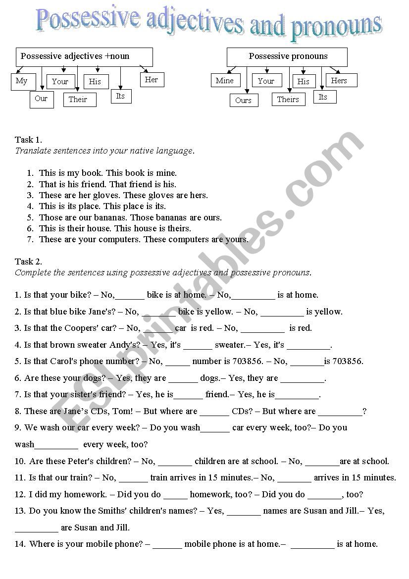 Possessive adjectives and pronouns 