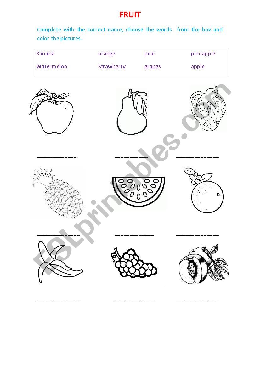 fruits   worksheet