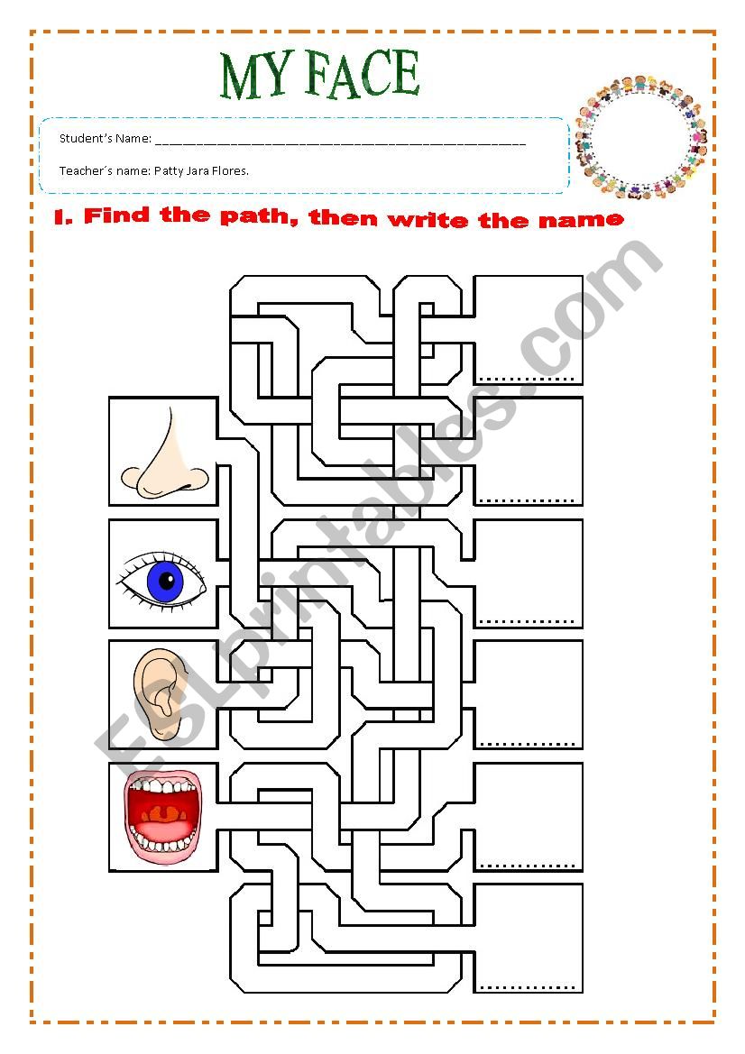 Parts of the face worksheet