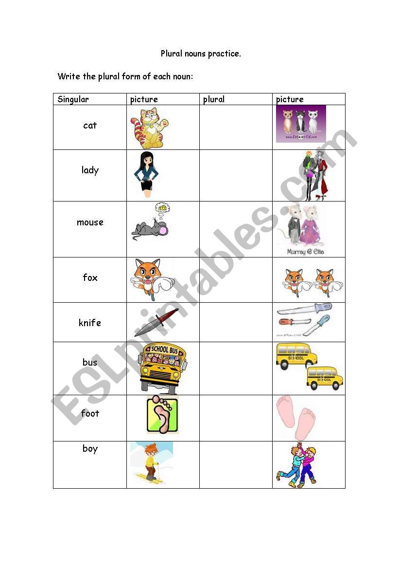 Plural nouns practice worksheet