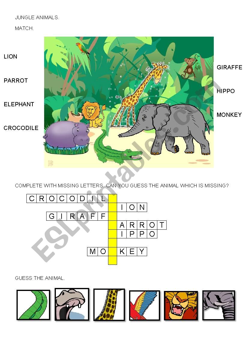 jungle animals worksheet