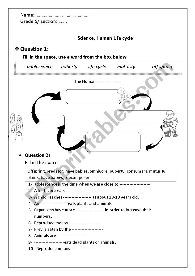 Scienc Quiz, Human Life Cycle worksheet