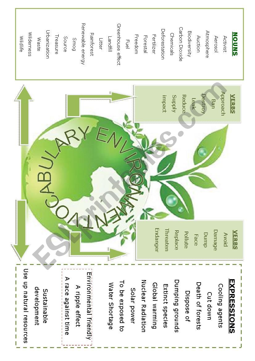 Environment vocabulary worksheet