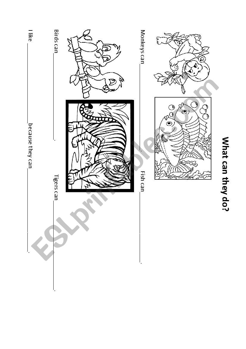 What can they do? worksheet