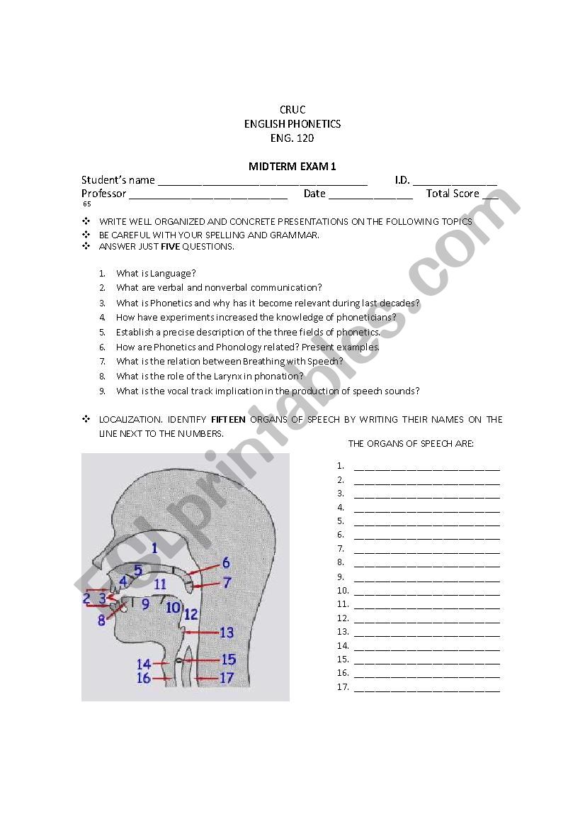 Phonetic Test worksheet