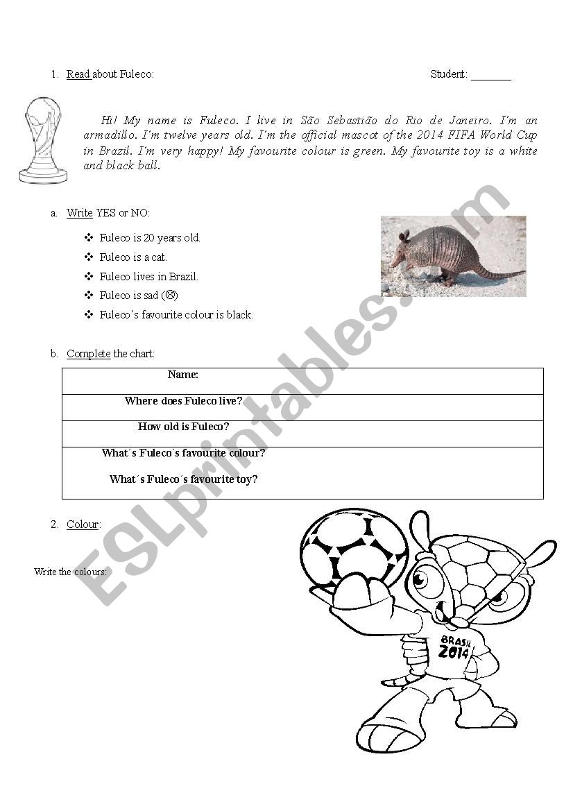 Fuleco World Cup 2014 worksheet