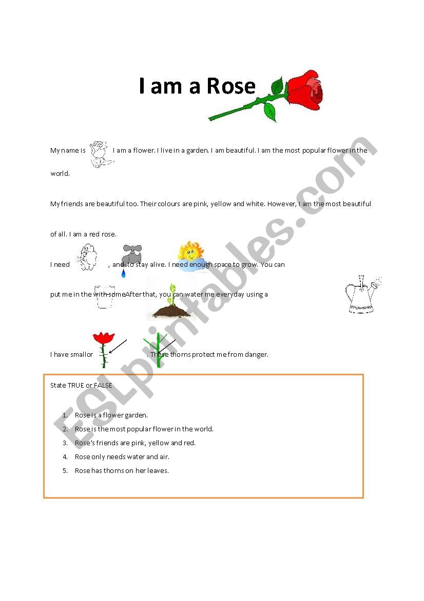 Reading Comprehension & Vocabulary - I am Rose