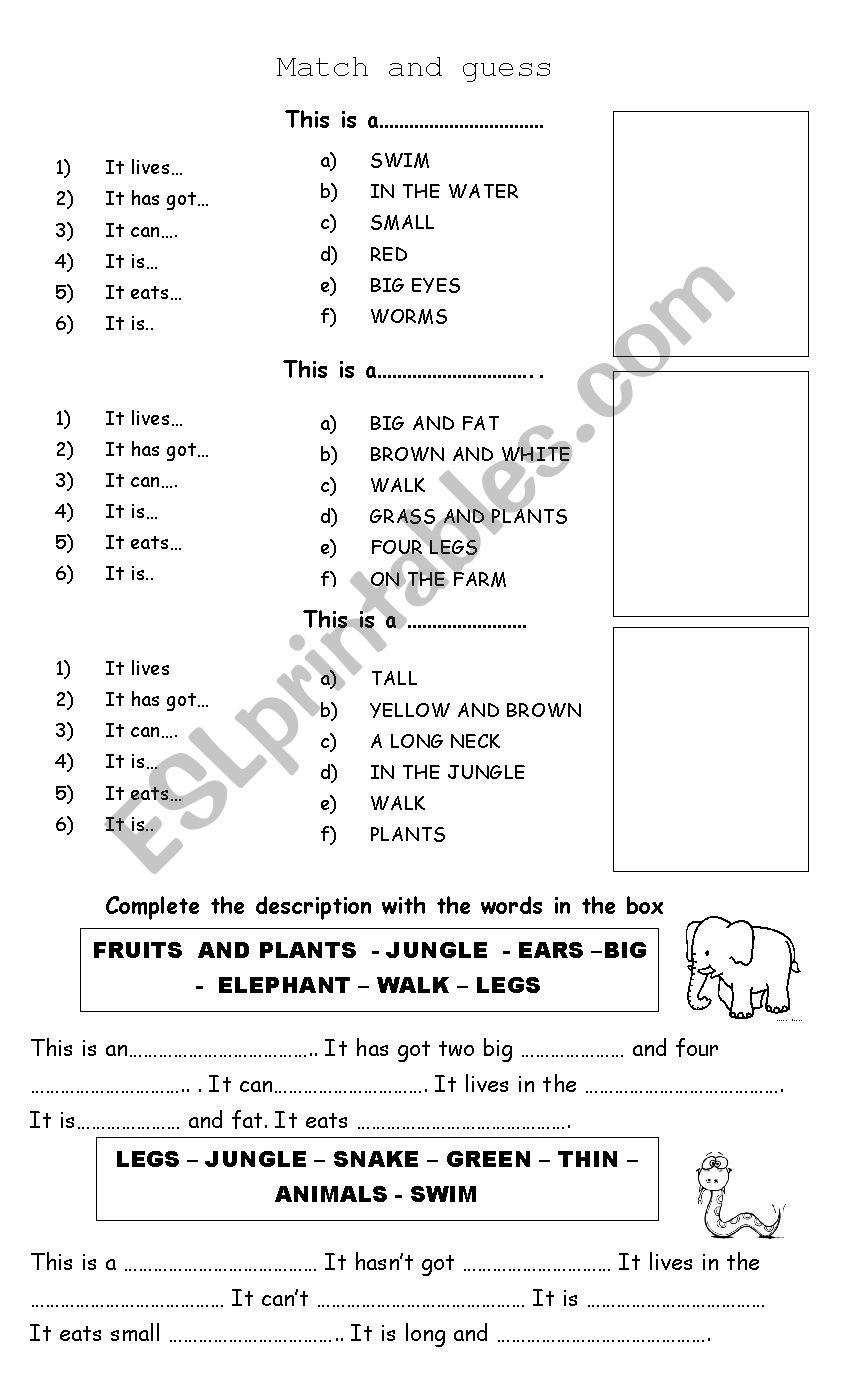 Animal description worksheet