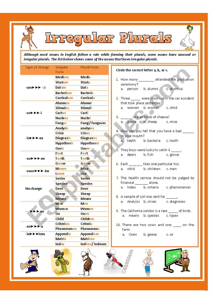 Irregular Plurals worksheet