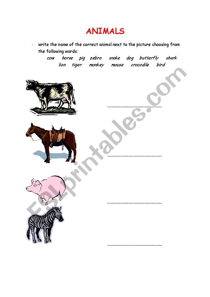 Animals - Exercise 1 worksheet