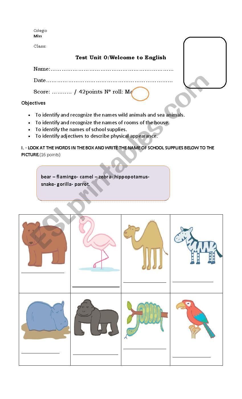 unit zero worksheet