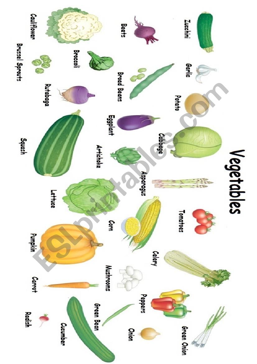 Vegetables worksheet