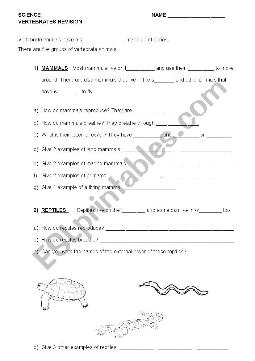 Vertebrates  worksheet