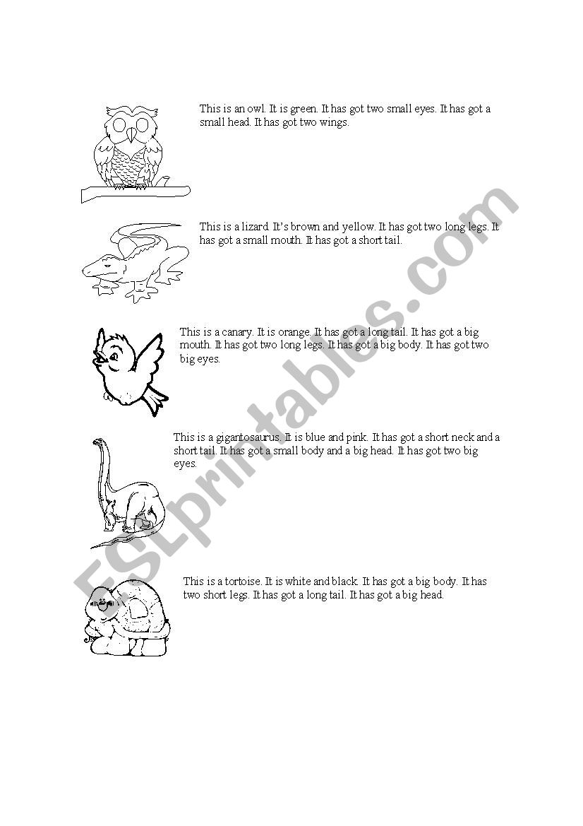 Animals worksheet