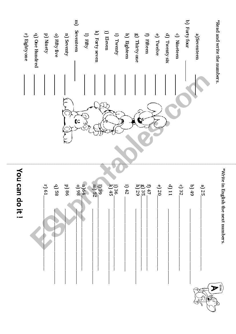 numbers worksheet