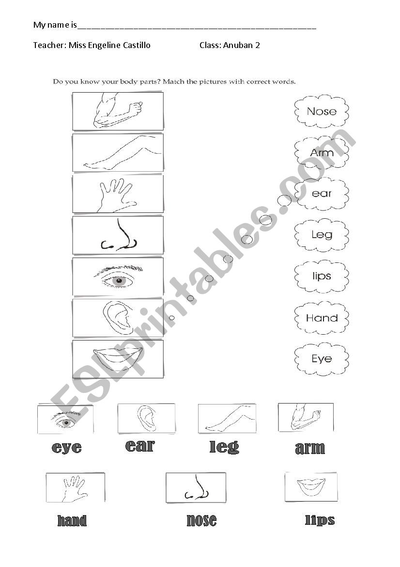 matching body parts worksheet