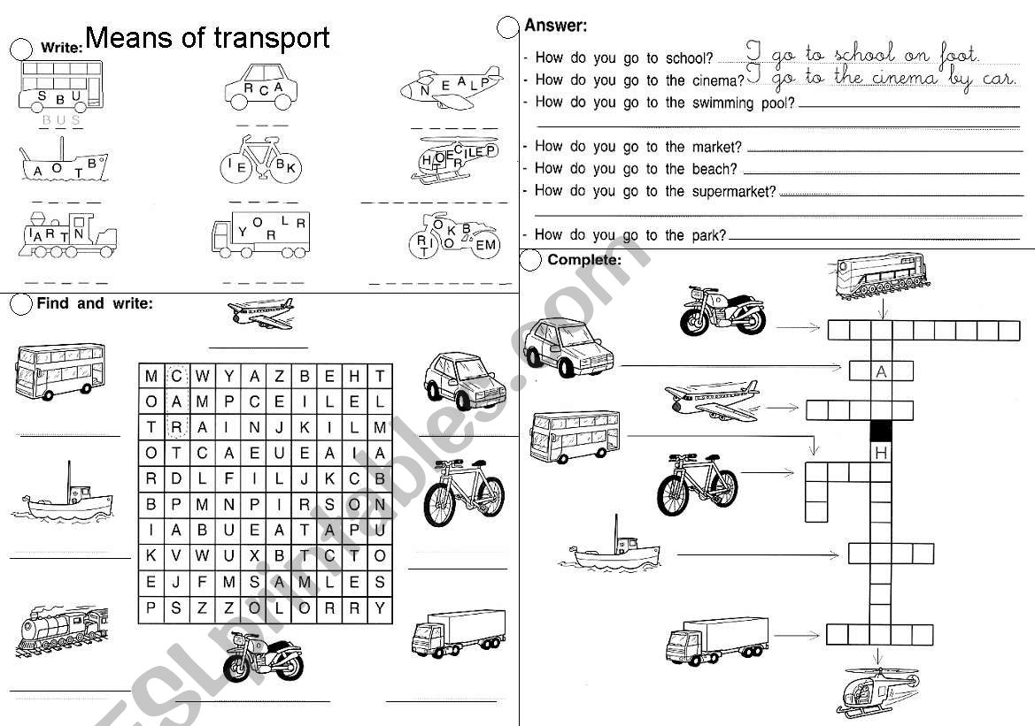 MEANS OF TRANSPORT - ESL worksheet by Aldjia