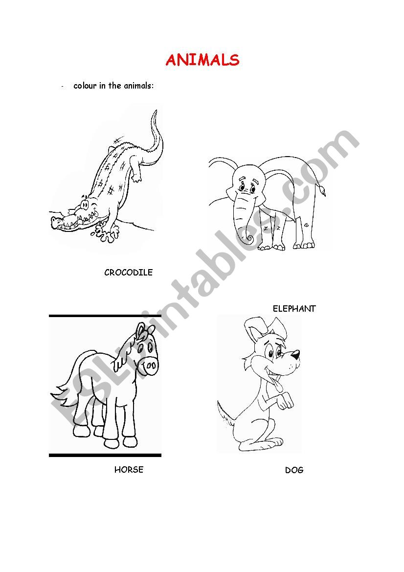 Animals - Exercise 2 worksheet
