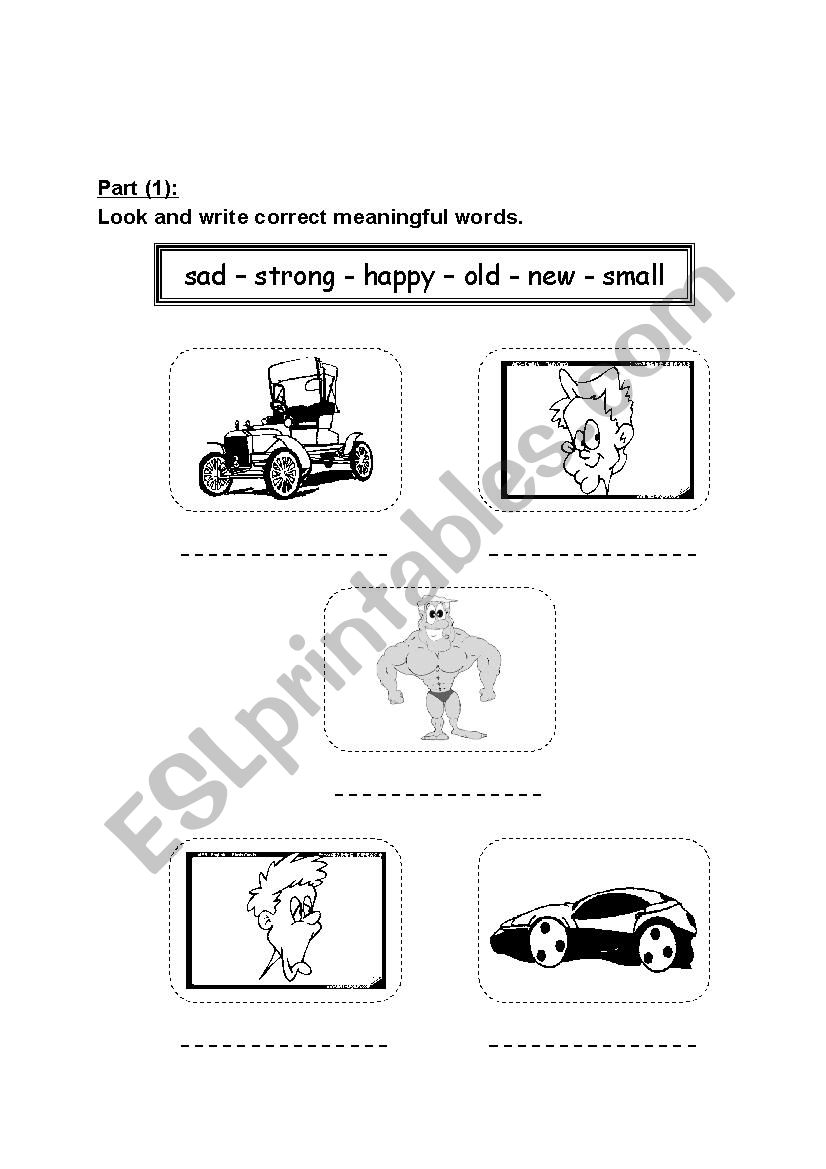 adjectives worksheet